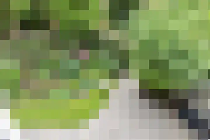 Gerstakker 18 Zoetermeer thumbnail 35