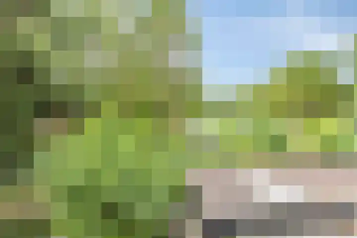 Gerstakker 18 Zoetermeer thumbnail 36