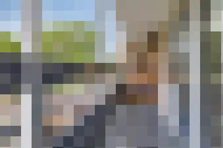 Gerstakker 18 Zoetermeer thumbnail 37
