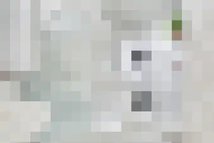 Gerstakker 18 Zoetermeer thumbnail 39