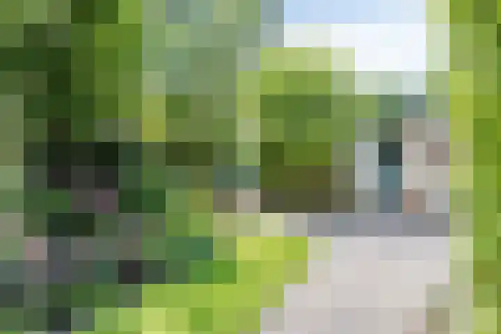 Gerstakker 18 Zoetermeer thumbnail 4