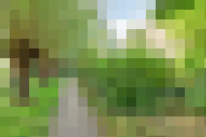 Gerstakker 18 Zoetermeer thumbnail 41