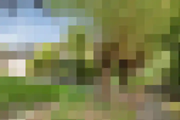 Gerstakker 18 Zoetermeer thumbnail 5