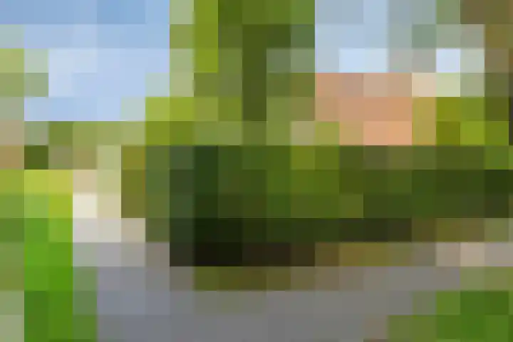 Gerstakker 18 Zoetermeer thumbnail 6