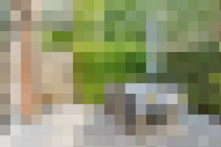 Gerstakker 18 Zoetermeer thumbnail 7