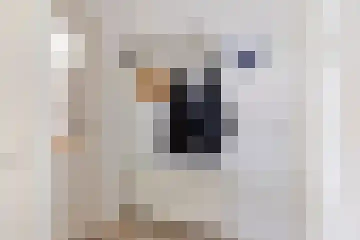 Gerstakker 18 Zoetermeer thumbnail 9