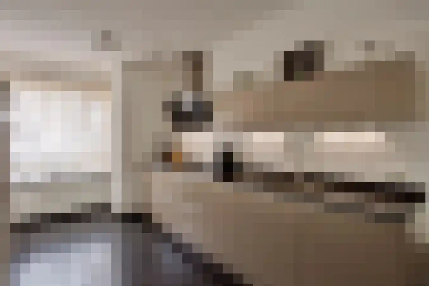 Gerstakker 25 Nuland thumbnail 12