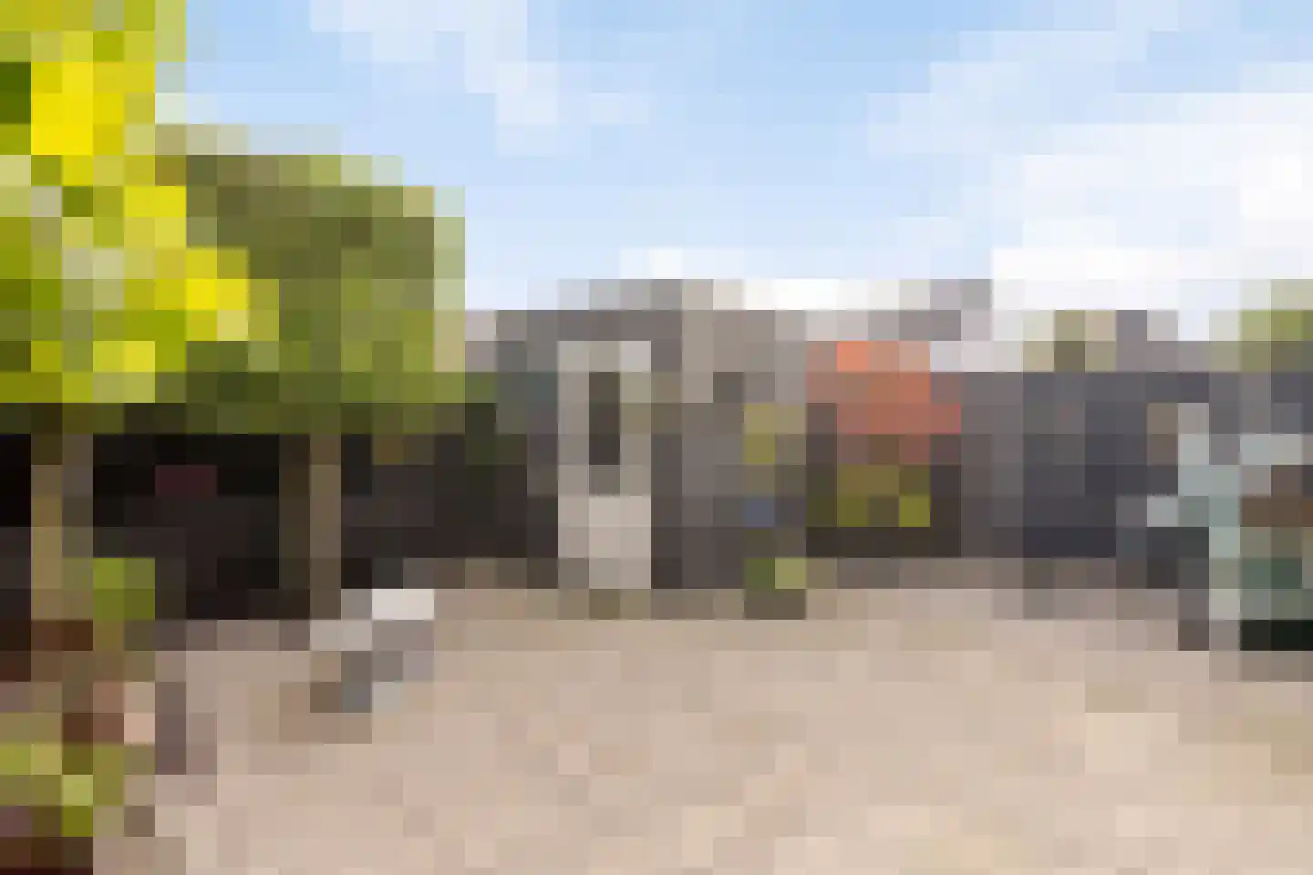 Gerstakker 25 Nuland thumbnail 33