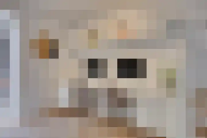 Gerstakker 25 's-Hertogenbosch thumbnail 15
