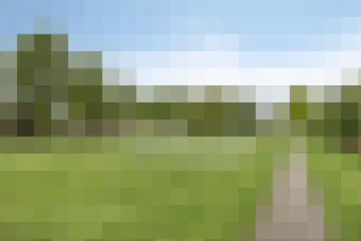 Gerstakker 25 's-Hertogenbosch thumbnail 37