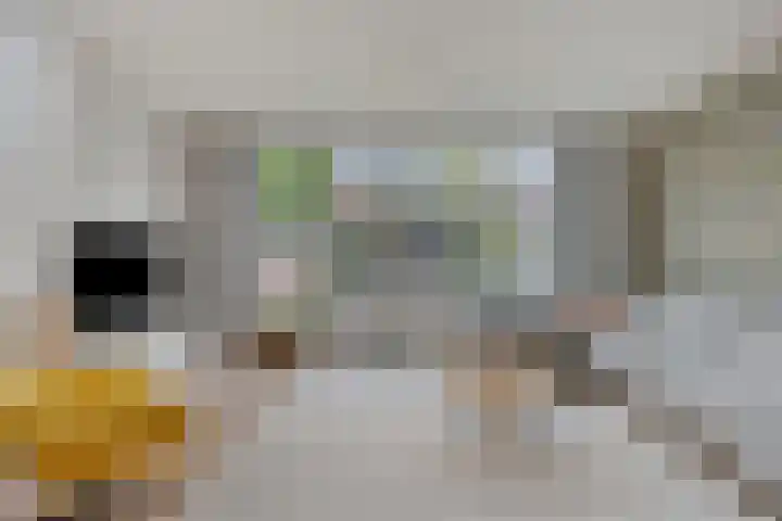 Gerstakker 25 's-Hertogenbosch thumbnail 6