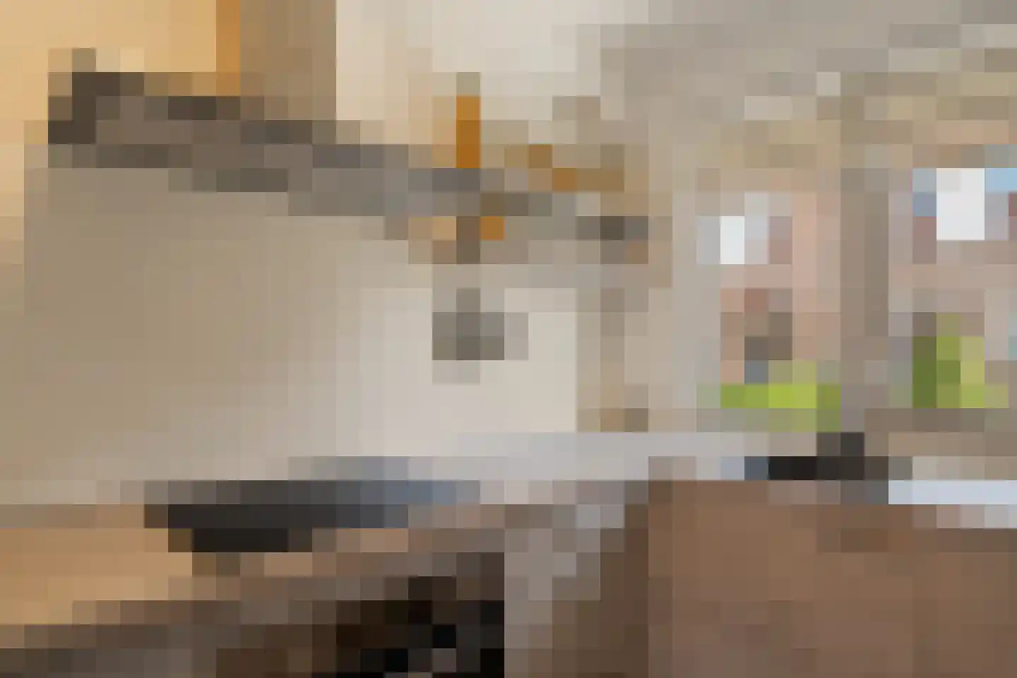 Gerstakker 25 Waddinxveen thumbnail 11