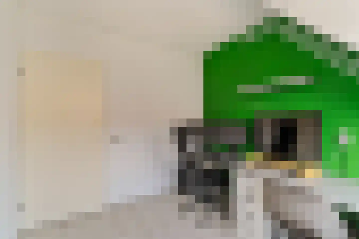 Gerstakker 25 Waddinxveen thumbnail 20