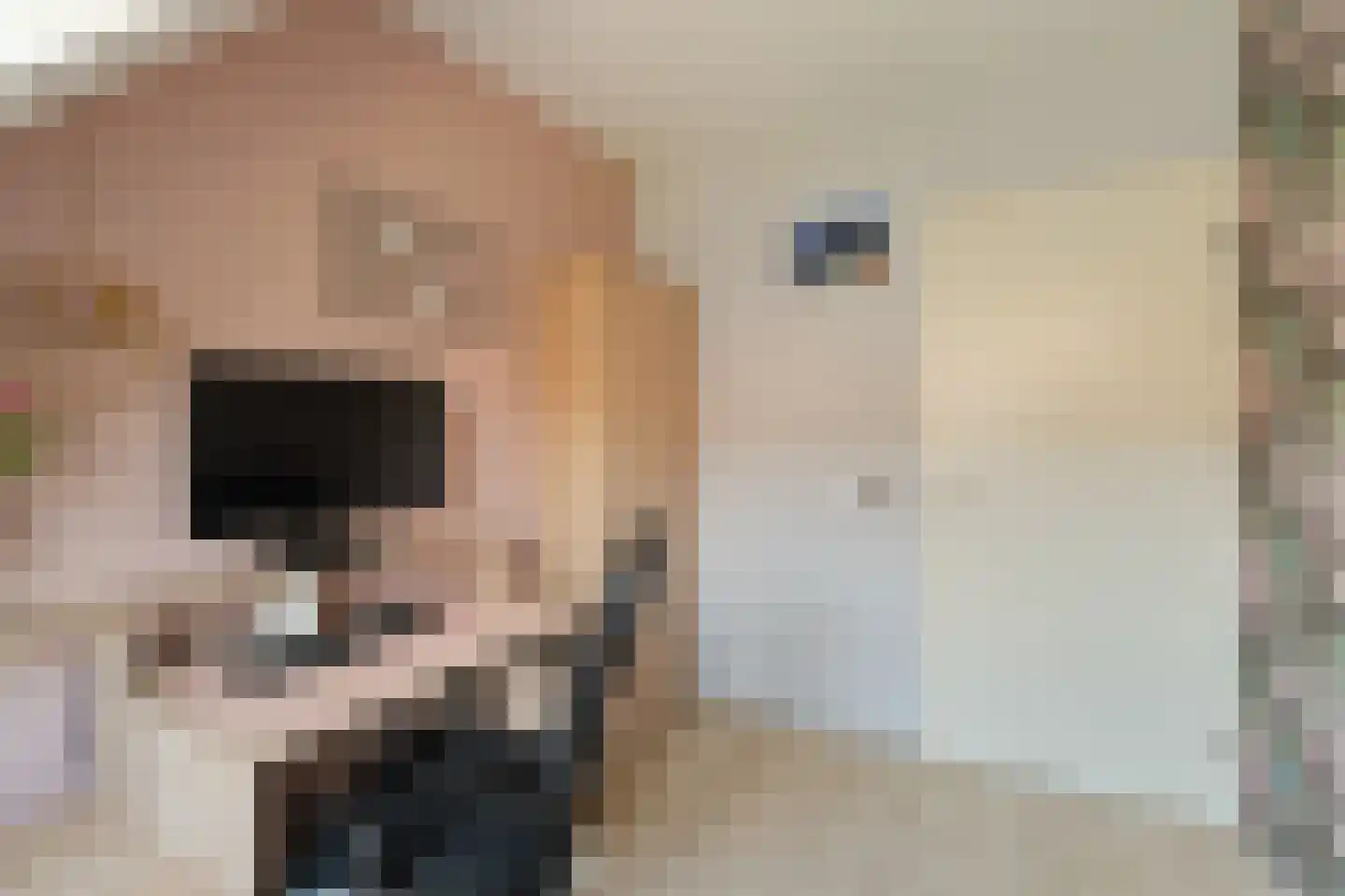 Gerstakker 25 Waddinxveen thumbnail 22