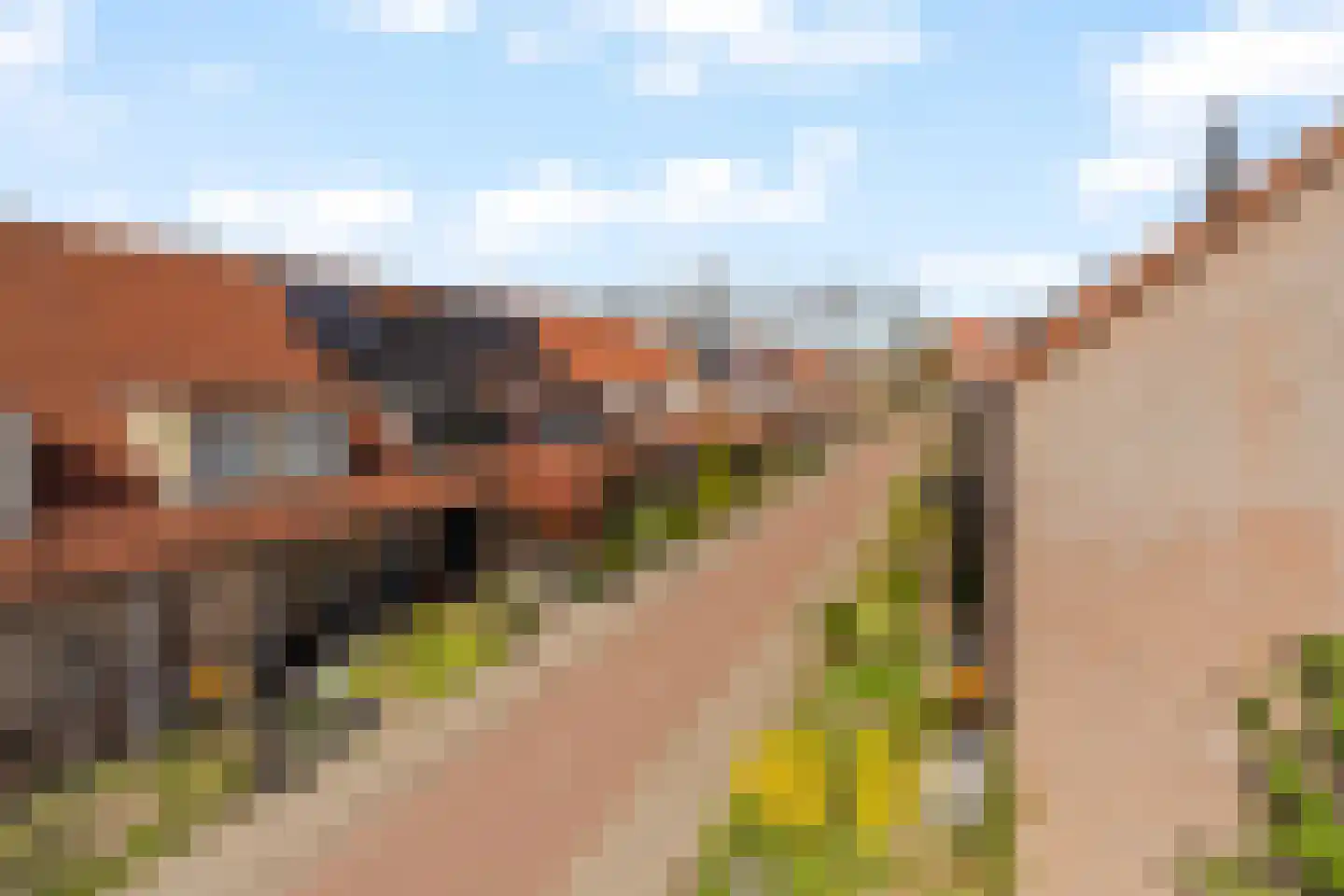 Gerstakker 25 Waddinxveen thumbnail 32
