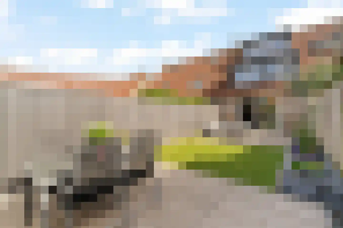 Gerstakker 25 Waddinxveen thumbnail 4