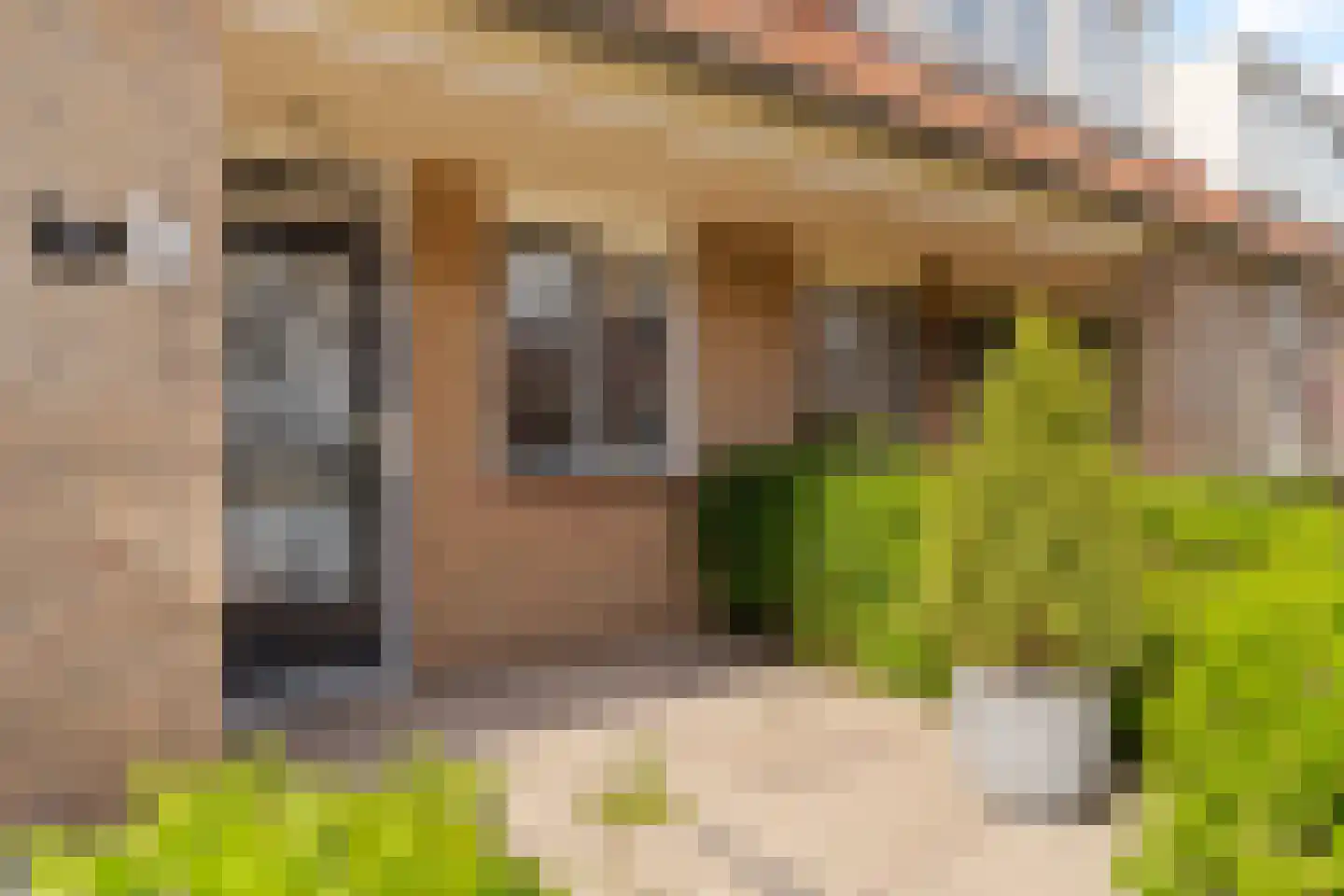 Gerstakker 25 Waddinxveen thumbnail 6