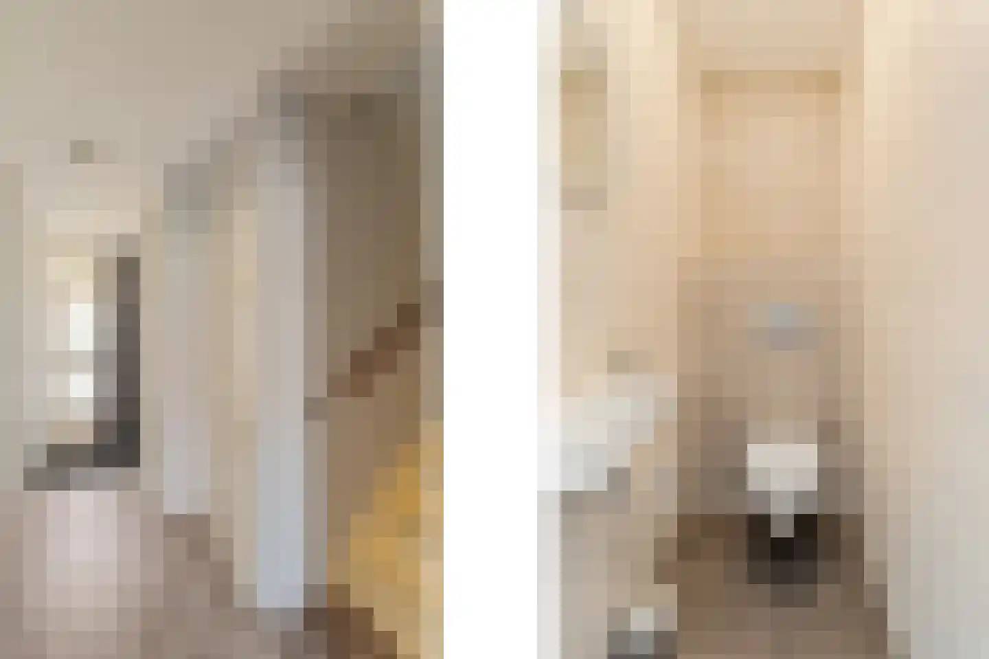 Gerstakker 25 Waddinxveen thumbnail 7