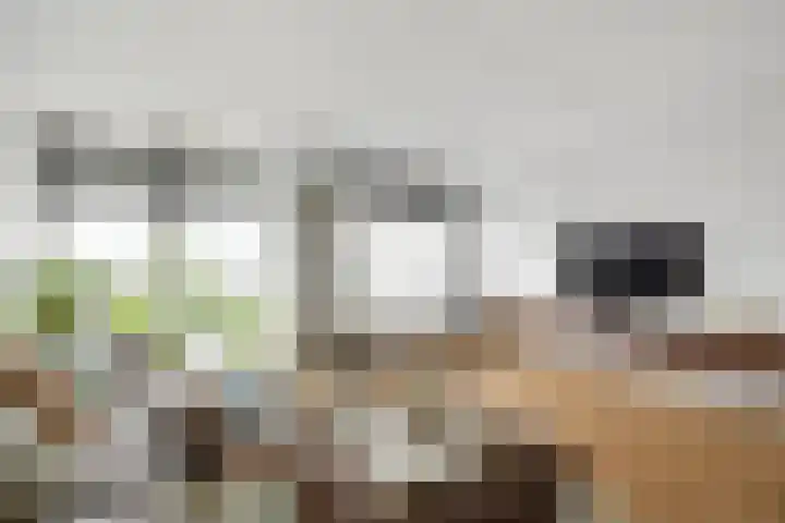 Gerstakker 27 Schiedam thumbnail 15