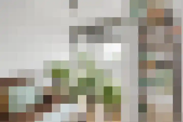 Gerstakker 27 Schiedam thumbnail 17