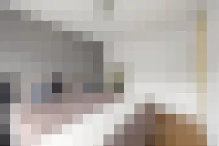 Gerstakker 27 Schiedam thumbnail 20