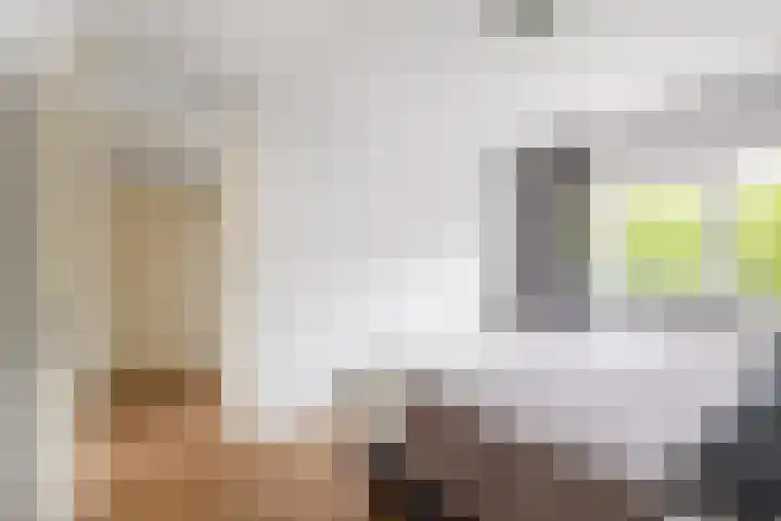 Gerstakker 27 Schiedam thumbnail 21