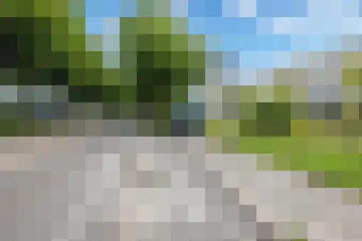 Gerstakker 27 Schiedam thumbnail 33