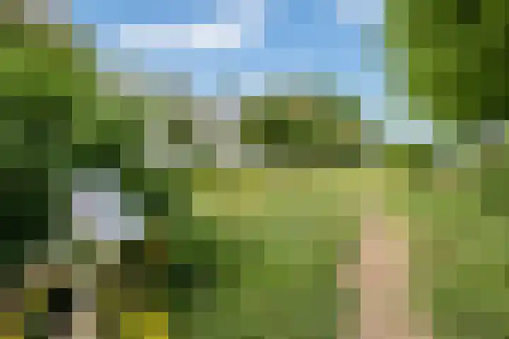 Gerstakker 27 Schiedam thumbnail 34