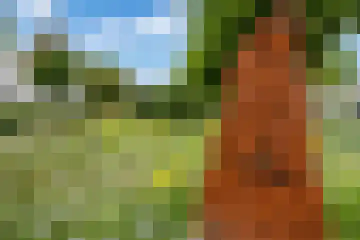 Gerstakker 27 Schiedam thumbnail 35