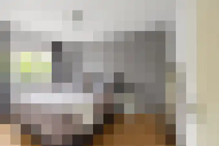 Gerstakker 27 Schiedam thumbnail 4