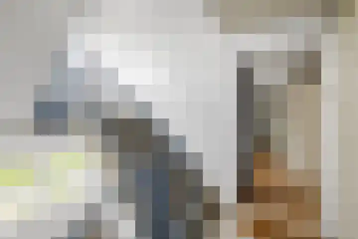 Gerstakker 27 Schiedam thumbnail 6
