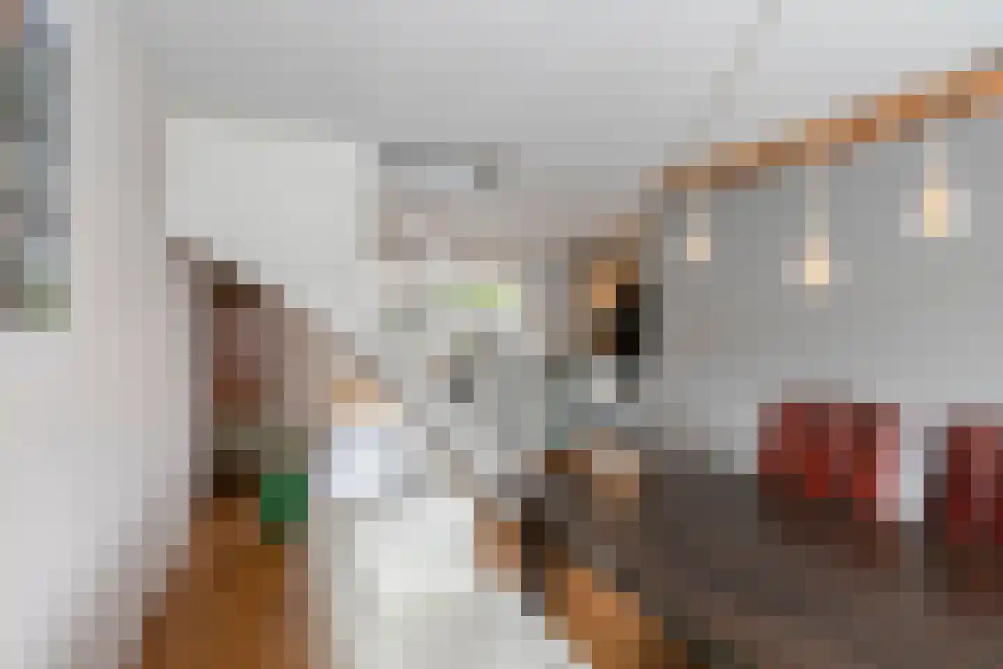 Gerstakker 31 's-Hertogenbosch thumbnail 10