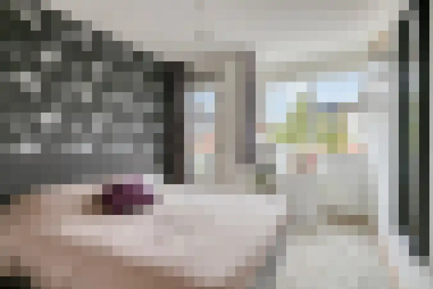 Gerstakker 31 's-Hertogenbosch thumbnail 17