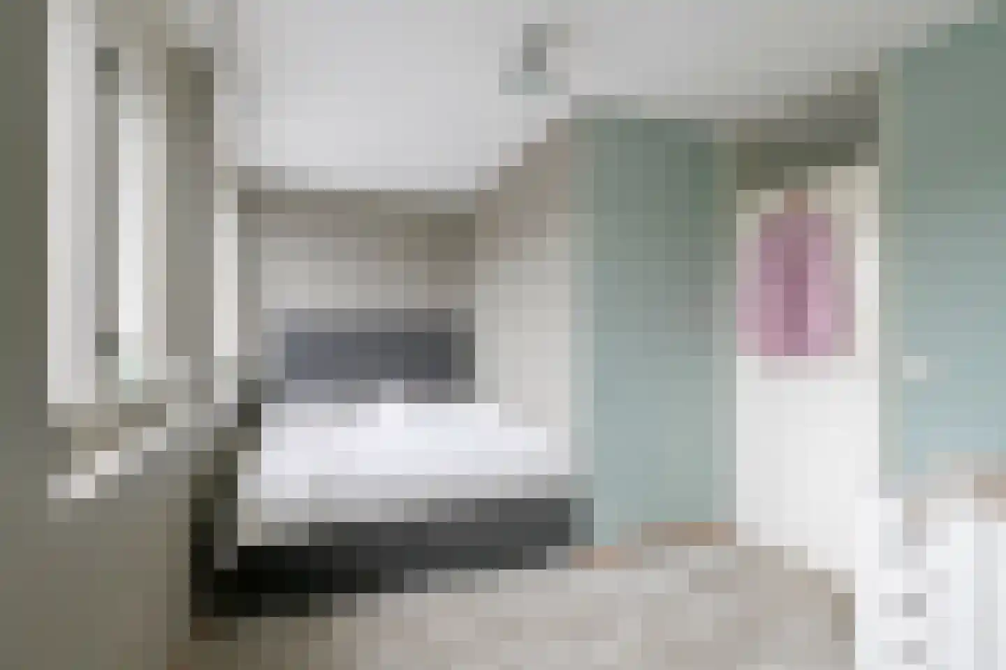 Gerstakker 31 's-Hertogenbosch thumbnail 20