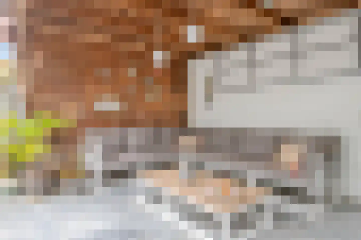Gerstakker 31 's-Hertogenbosch thumbnail 35