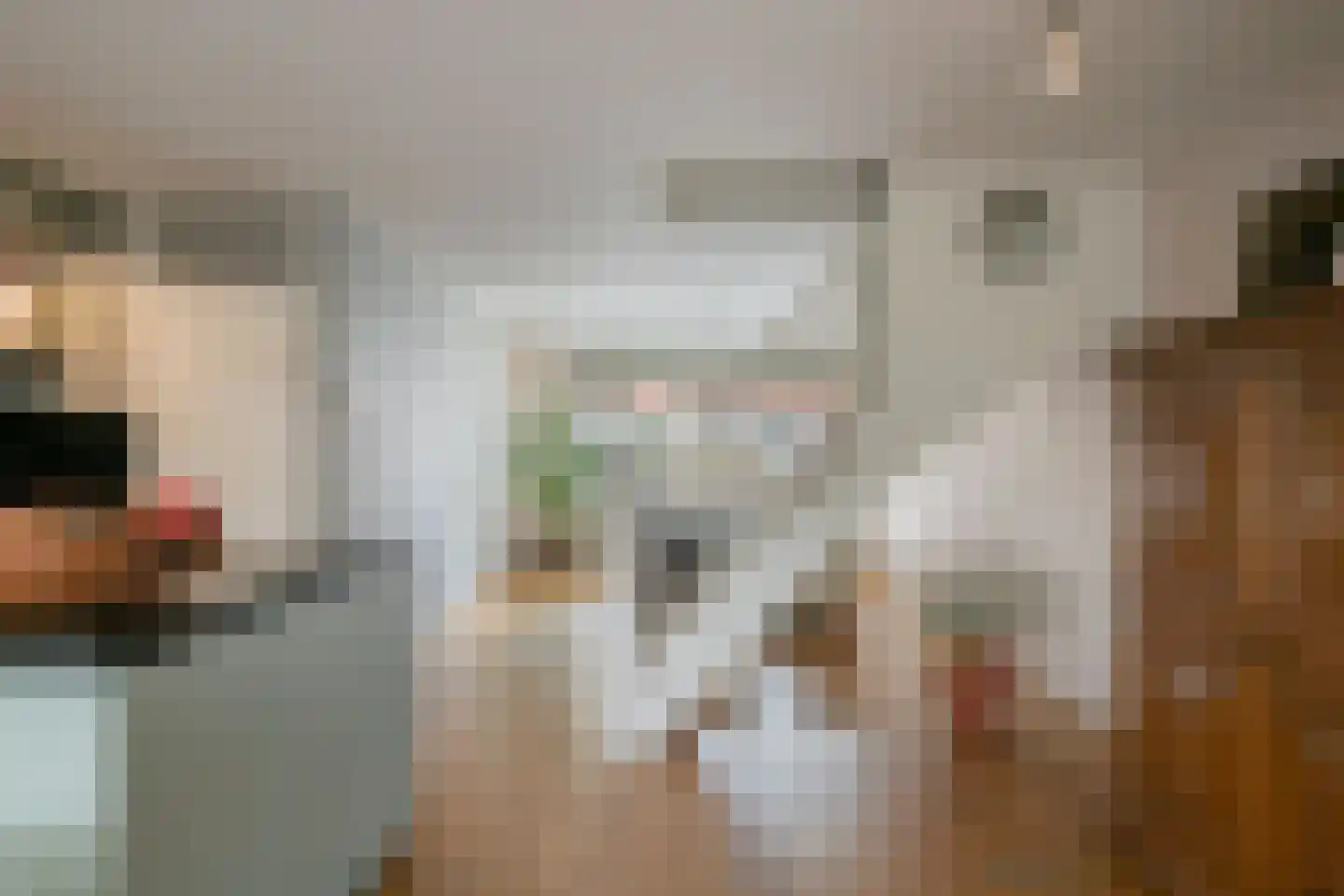 Gerstakker 31 's-Hertogenbosch thumbnail 7