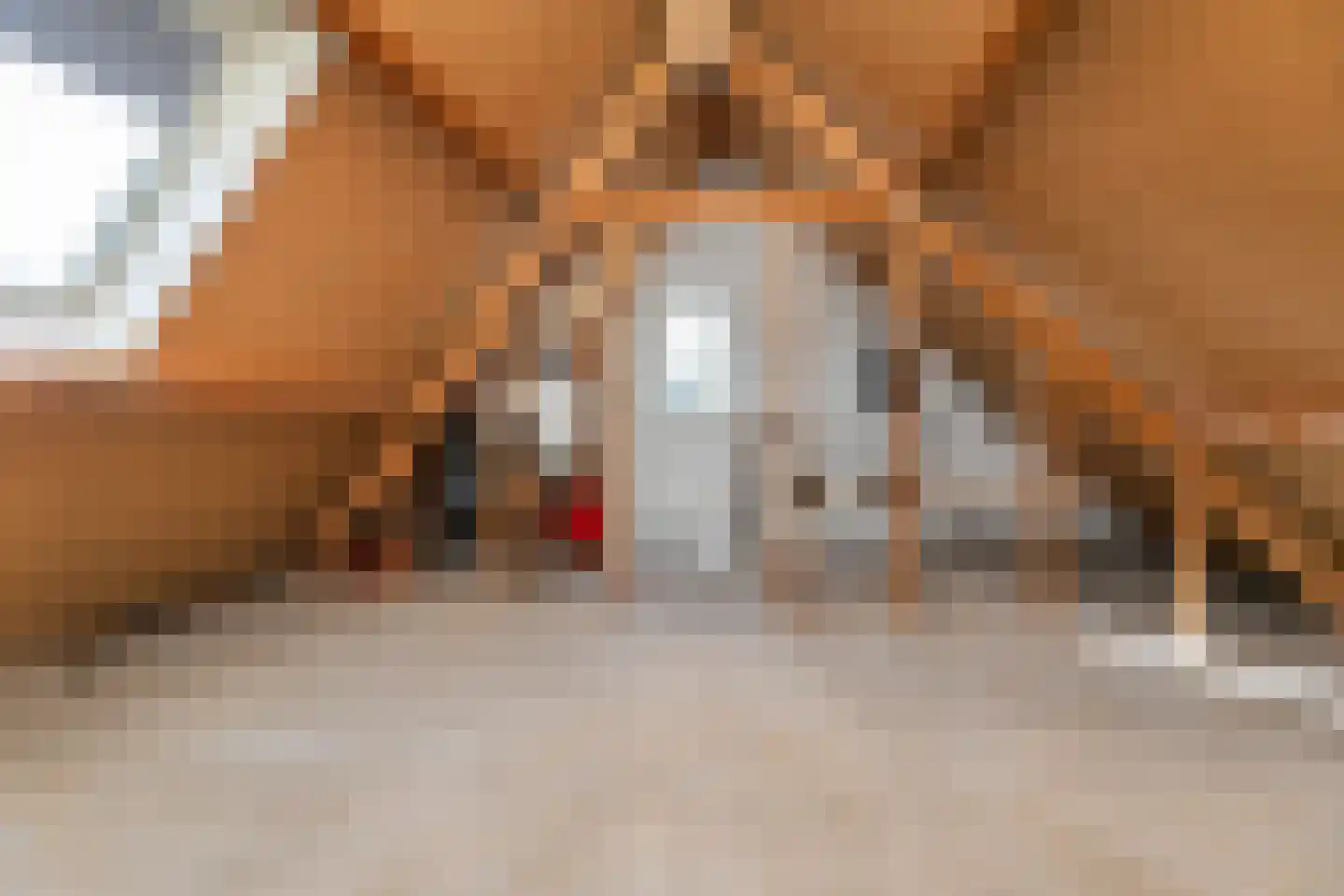 Gerstakker 33 Wezep thumbnail 28