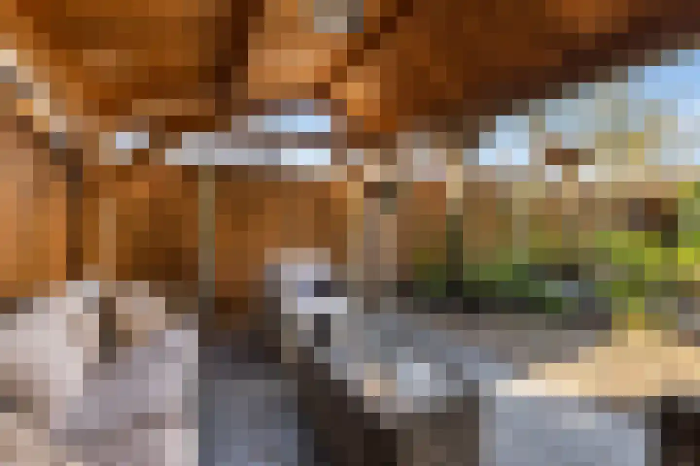 Gerstakker 33 Wezep thumbnail 32