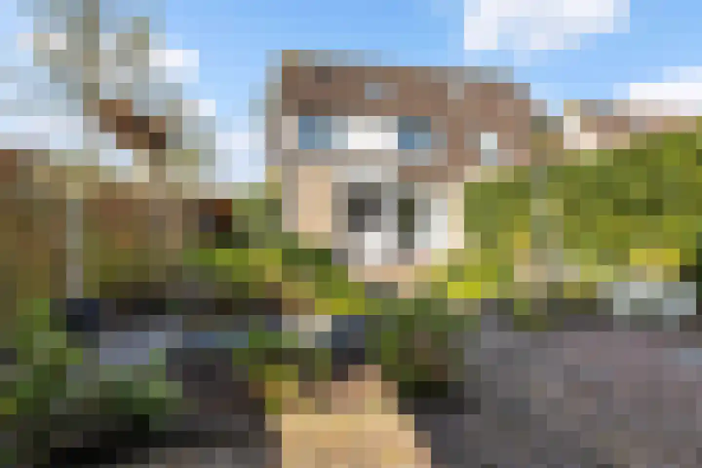 Gerstakker 33 Wezep thumbnail 33