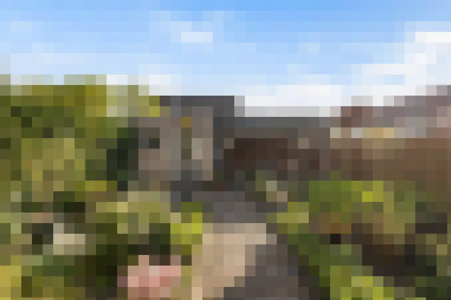 Gerstakker 33 Wezep thumbnail 4