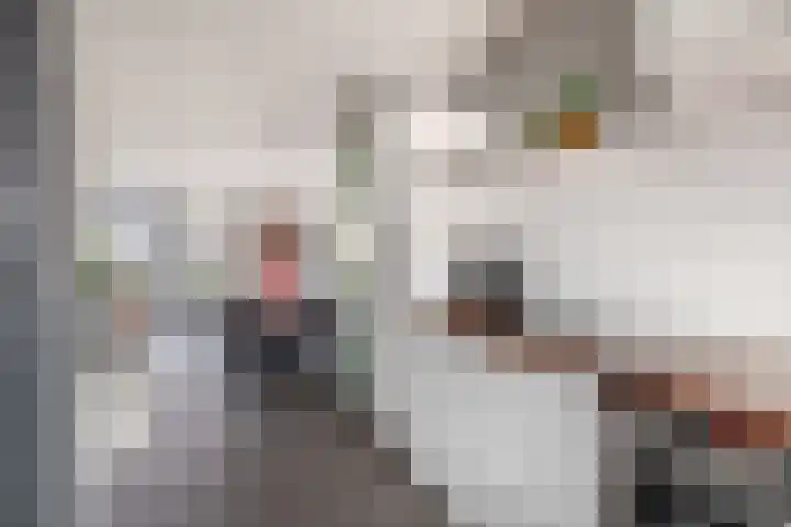 Gerstakker 53 Waddinxveen thumbnail 15