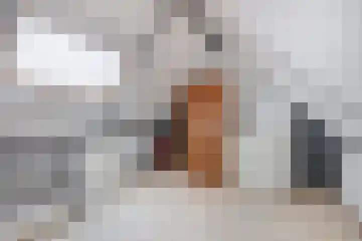 Gerstakker 53 Waddinxveen thumbnail 24