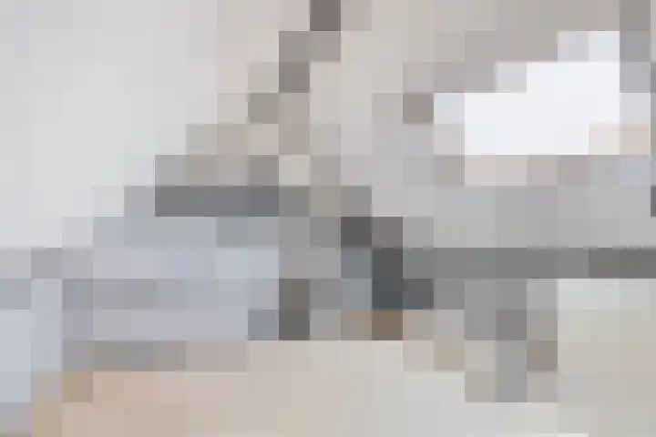 Gerstakker 53 Waddinxveen thumbnail 25