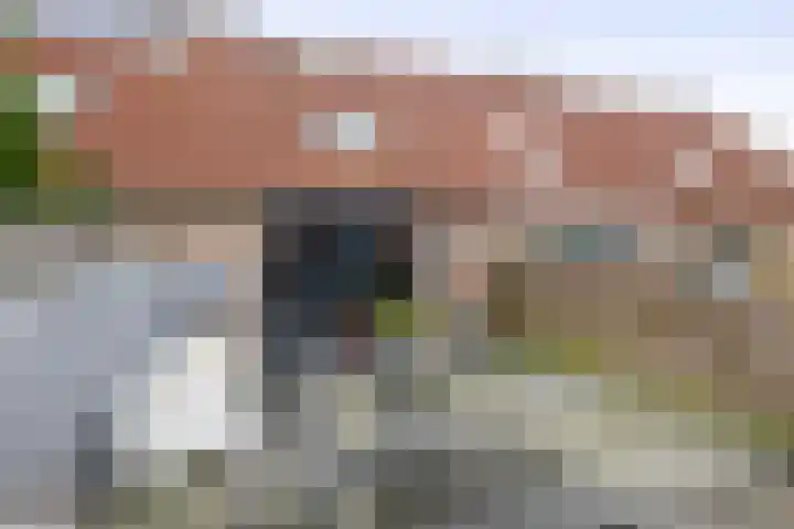 Gerstakker 53 Waddinxveen thumbnail 26