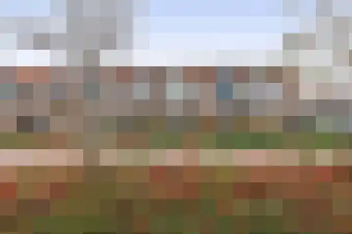 Gerstakker 53 Waddinxveen thumbnail 29