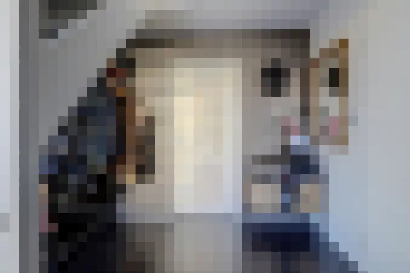 Gerstakker 6 Arnemuiden thumbnail 15