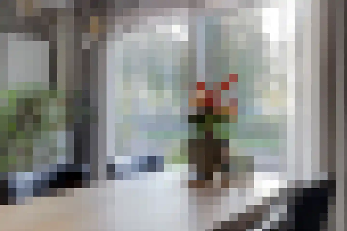 Gerstakker 6 Arnemuiden thumbnail 23
