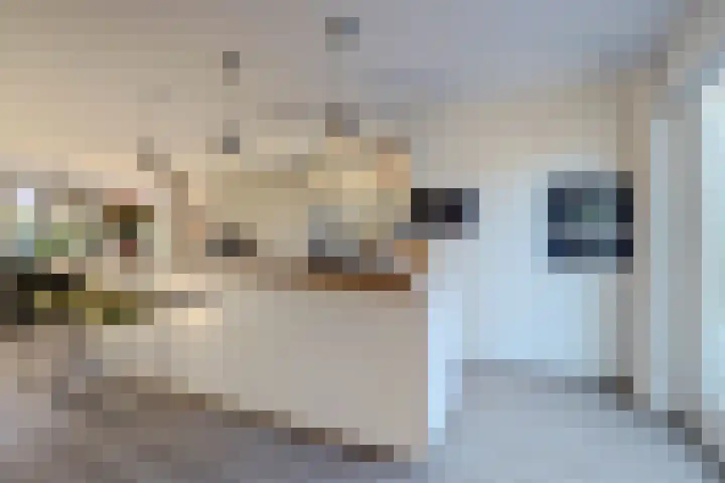 Gerstakker 6 Arnemuiden thumbnail 26