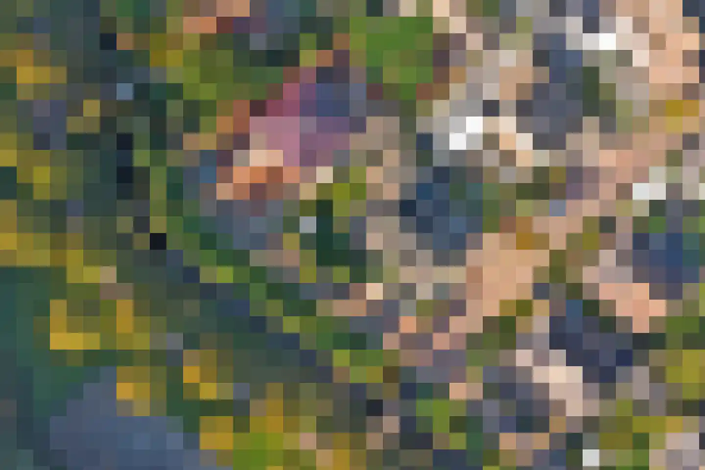 Gerstakker 6 Arnemuiden thumbnail 45