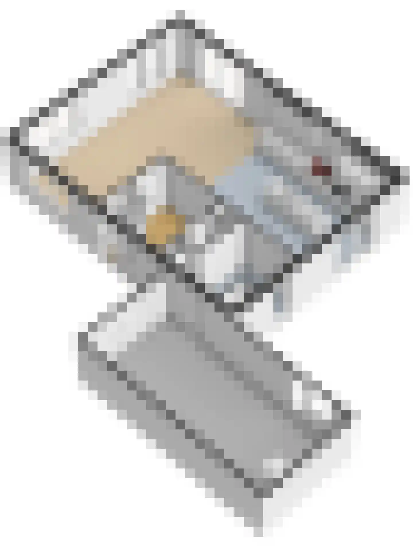Gerstakker 6 Arnemuiden thumbnail 67